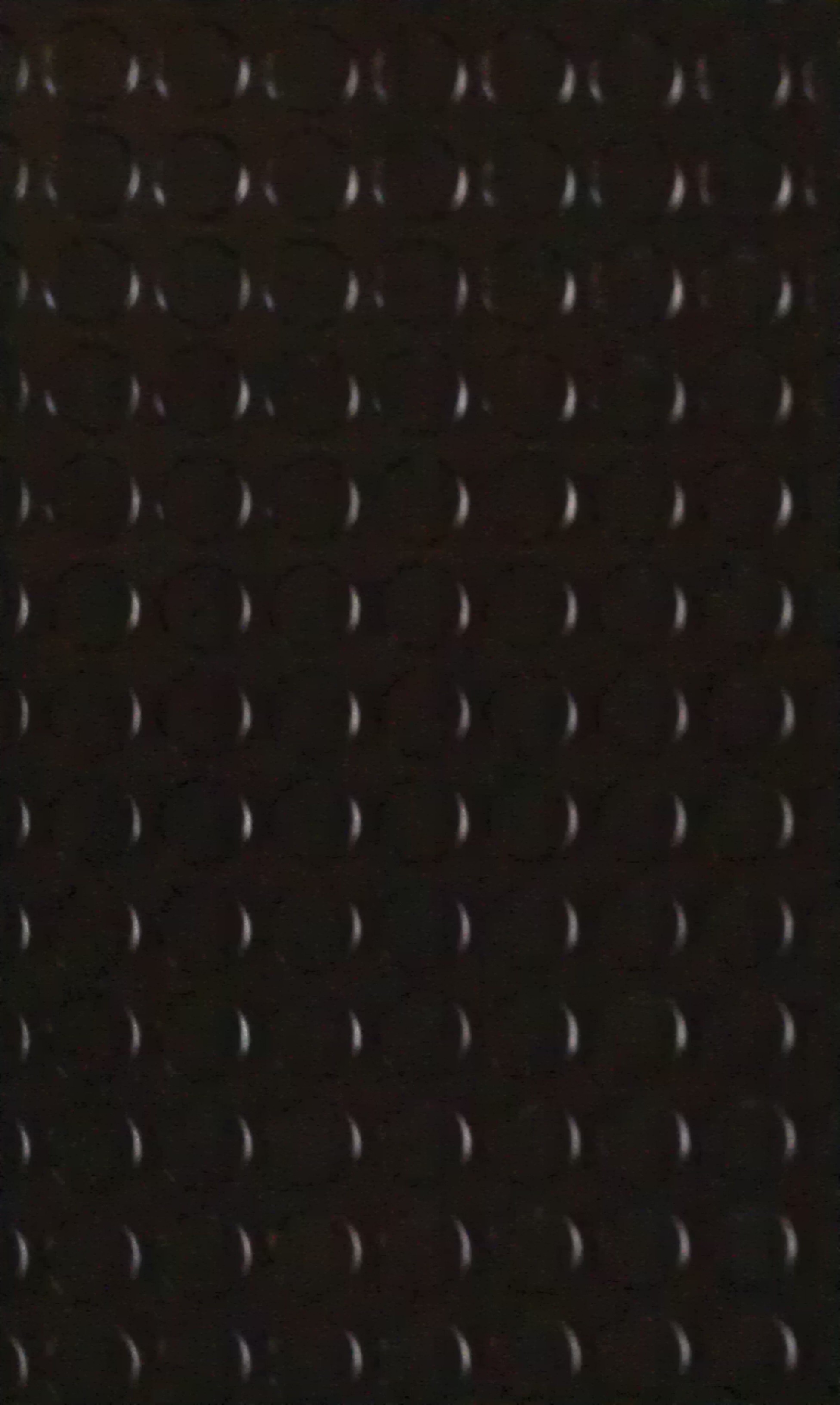 IMAG0189 (1)